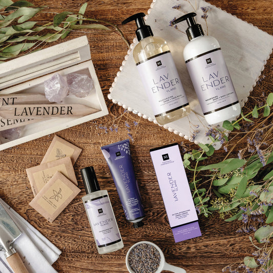 HAND + FACE WASH 12OZ